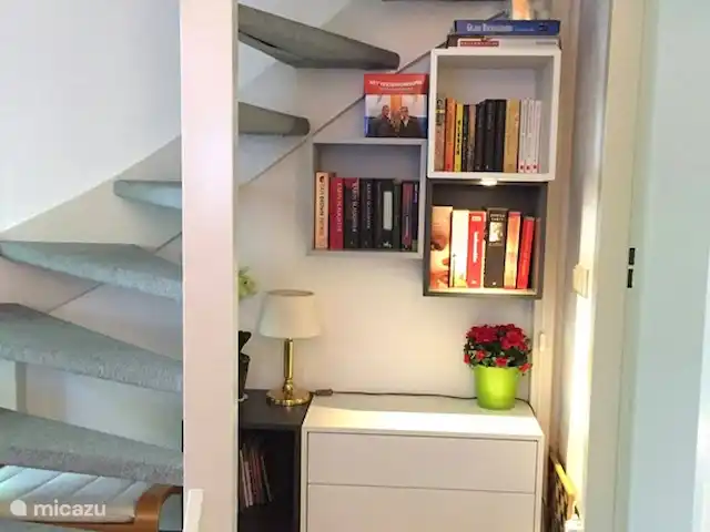 Calluna 151 en Países Bajos, Güeldres, Harfsen - casa vacacional Pequeña biblioteca de juegos.
