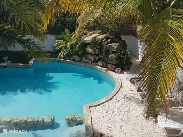 Appartement 'C' JAN THIEL TOUT COMPRIS !! | Curaçao, Banda Ariba (est), Jan Thiel - appartement La piscine commune avec plage de sable