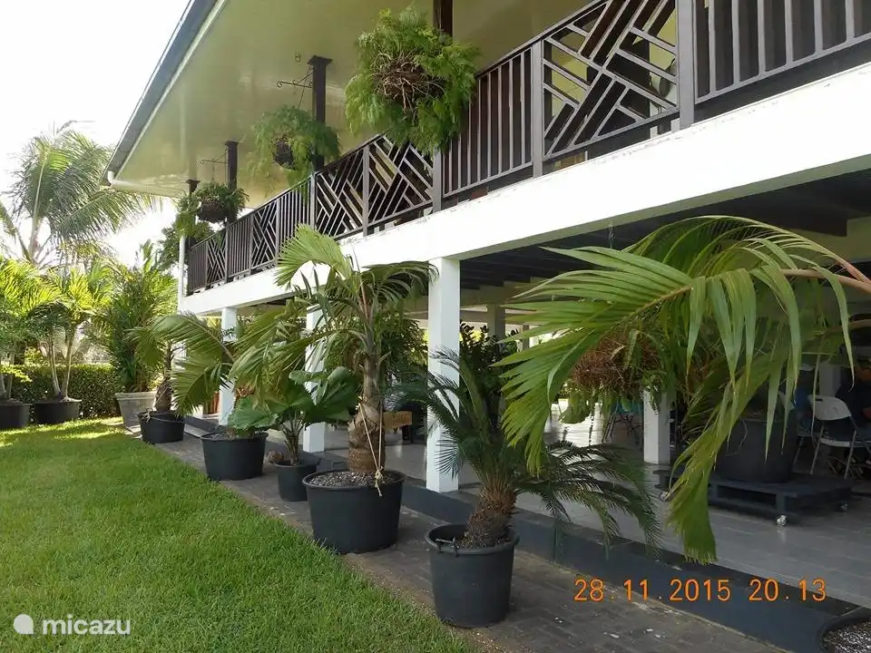 appartement, Palmvillage, Commewijne, Suriname - Palm Village