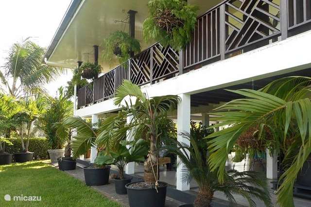Vakantiehuis Suriname – appartement Palm Village