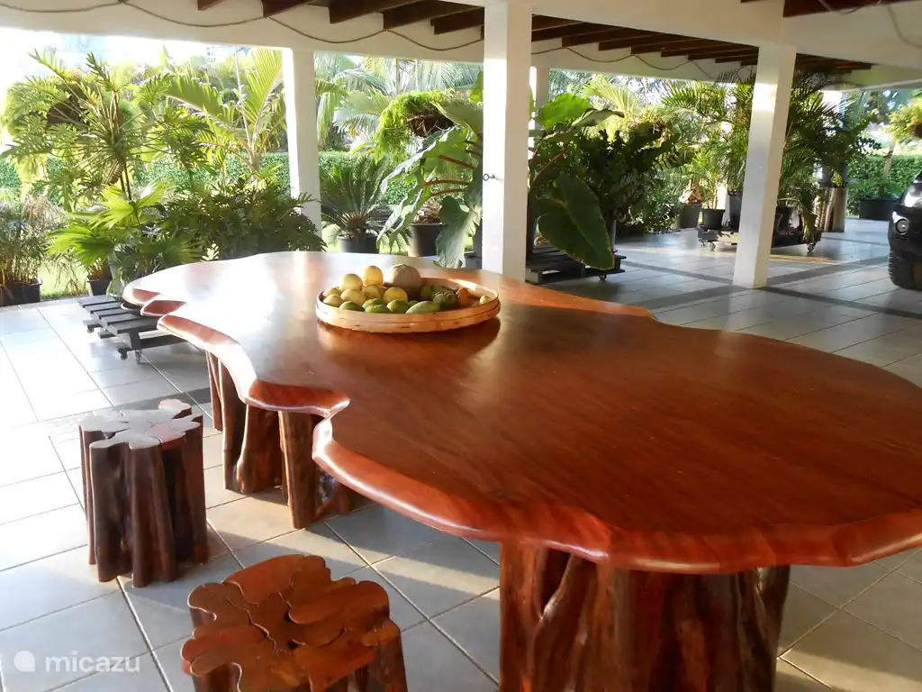 Überdachte Terrasse mit Esstisch