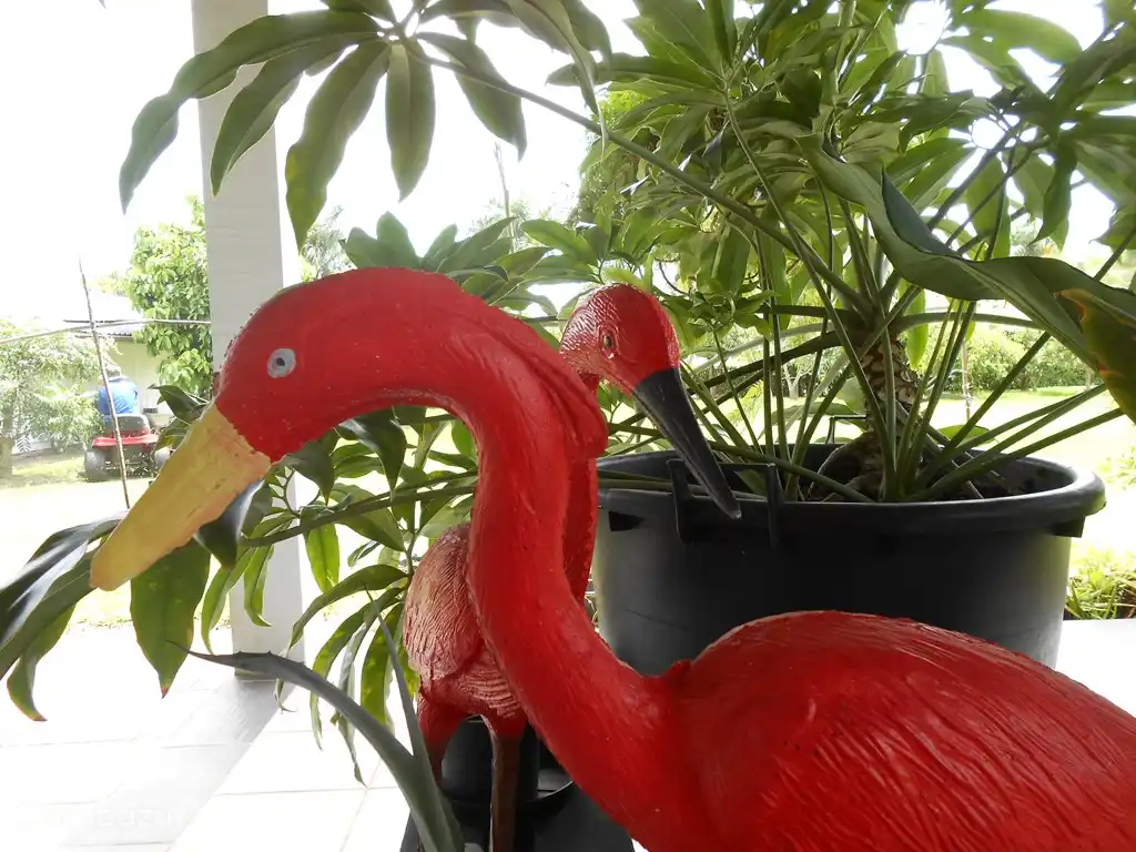 sfeerfoto überdachte Terrasse