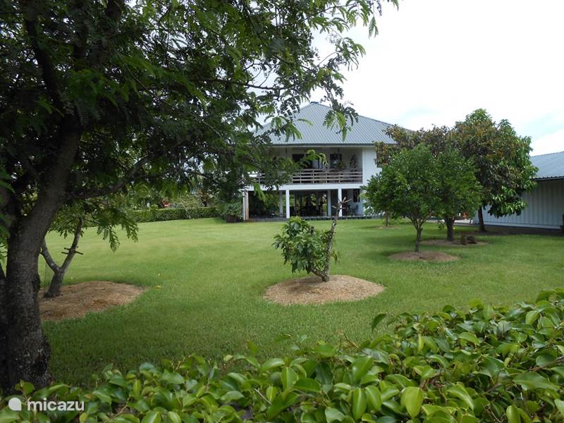 Casa vacacional Suriname, Commewijne, Nueva Ámsterdam Apartamento pueblo de palmeras