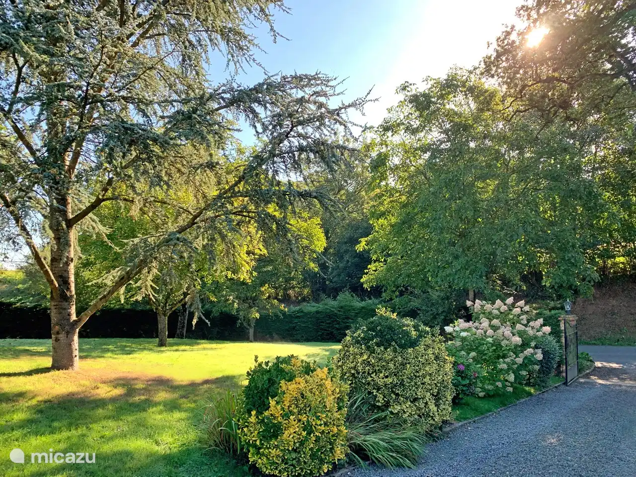 Teil des Gartens mit Tor