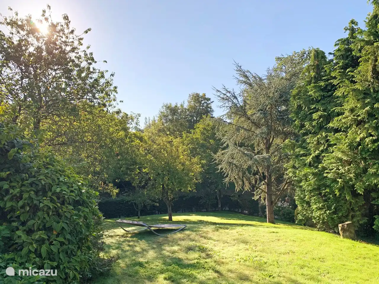 Ein Teil des Gartens am Morgen