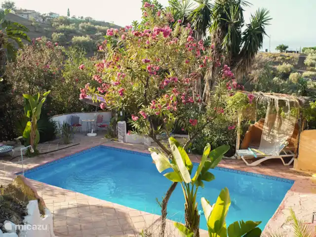 Location de Vacances Espagne, Andalousie, Frigiliana, villa - Petit paradis à Fuente Conejo Location de Vacances Espagne, Andalousie, Frigiliana, villa - Petit paradis à Fuente Conejo