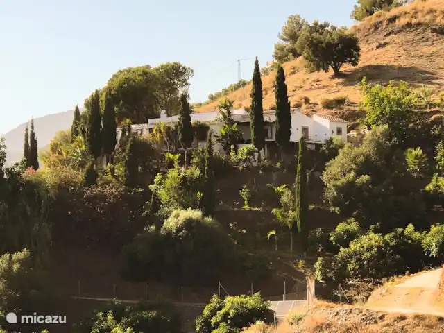 Location de Vacances Espagne, Andalousie, Frigiliana, villa - Petit paradis à Fuente Conejo