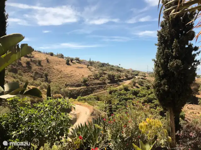 Location de Vacances Espagne, Andalousie, Frigiliana, villa - Petit paradis à Fuente Conejo