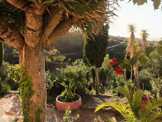 Location de Vacances Espagne, Andalousie, Frigiliana, villa - Petit paradis à Fuente Conejo