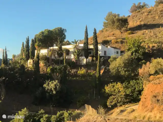 Location de Vacances Espagne, Andalousie, Frigiliana, villa - Petit paradis à Fuente Conejo