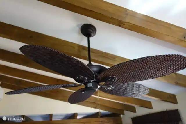 Der Deckenventilator im Wohnzimmer