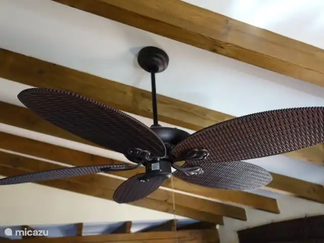 Casa Rosalía en España, Andalucía, Arenas - finca El ventilador de techo en la sala de estar.