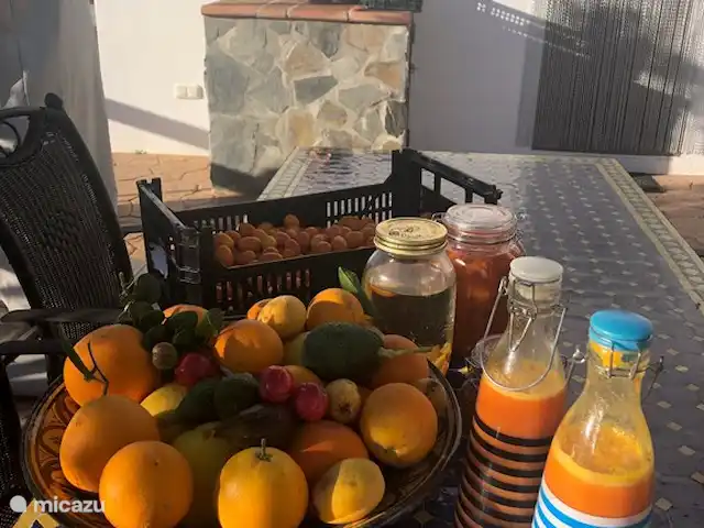 Casa Rosalía en España, Andalucía, Arenas - finca Fruta, zumo y almíbar, ¡de nuestra propia huerta!