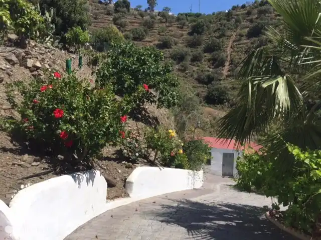 Casa Rosalía en España, Andalucía, Arenas - finca También tenemos rosales y palmeras.