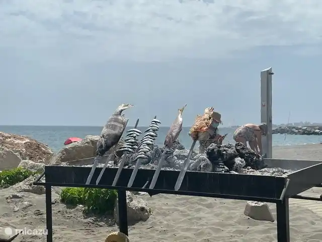 Casa Rosalía en España, Andalucía, Arenas - finca Pescado al asador