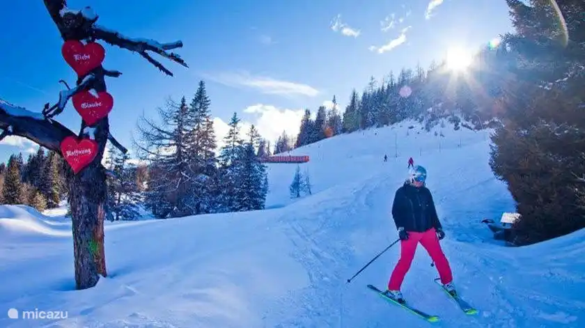 Midden tussen 4 skigebieden