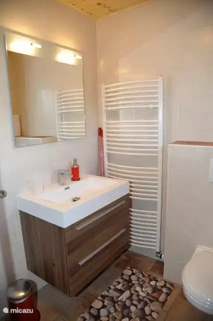 Badkamer met douche en toilet