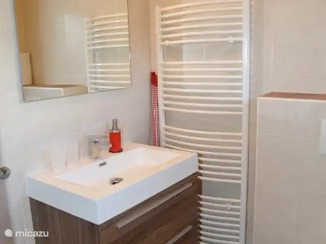 appartement huren in Oostenrijk, Salzburgerland, Sankt Michael Im Lungau – Aloisia - Appartement Tschaneck Badkamer met douche en toilet