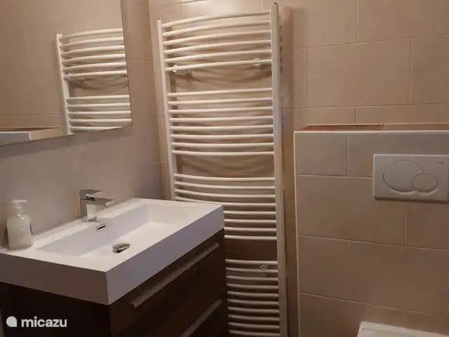 appartement huren in Oostenrijk, Salzburgerland, Sankt Michael Im Lungau – Aloisia - Appartement Tschaneck Badkamer met uitzicht op de berg