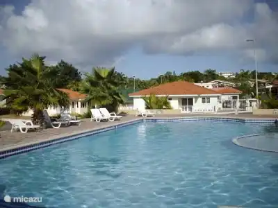 public swimming pool