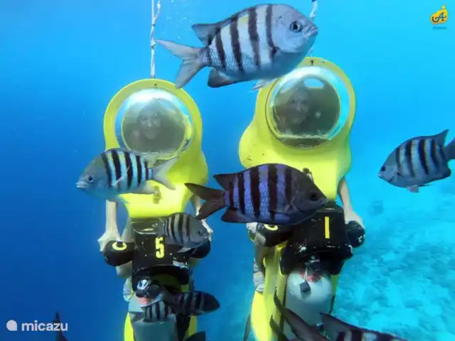Villa Cas Mi dushi huren in Curaçao, Banda Ariba (oost), Jan Thiel - villa Aquafari