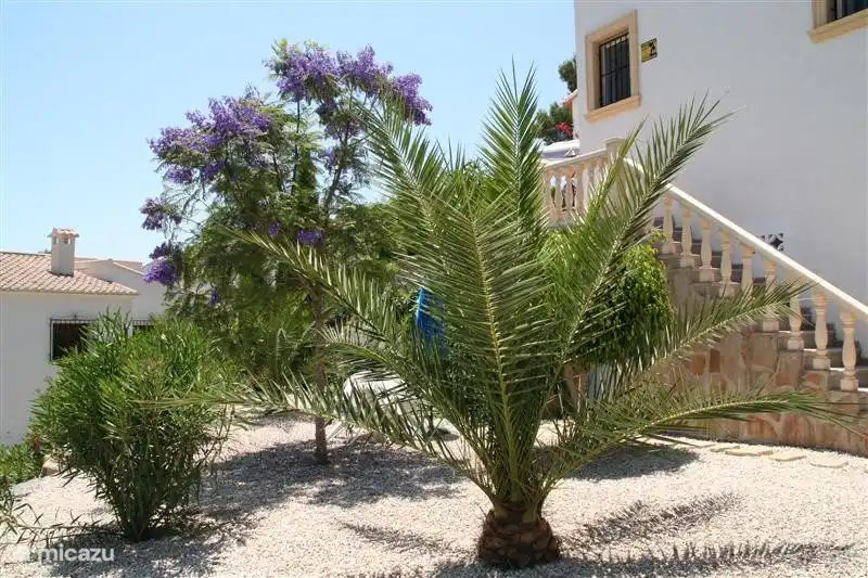 En el jardín de abajo, puedes aislarte para leer un libro a la sombra de la palmera, o para tener una verdadera siesta española.