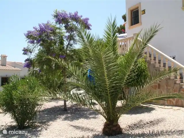 Location de Vacances Espagne, Costa Blanca, Moraira, villa - Villa Flamenca Dans le jardin en contrebas, vous pourrez vous isoler pour lire un livre à l'ombre des palmiers, ou faire une vraie sieste espagnole.