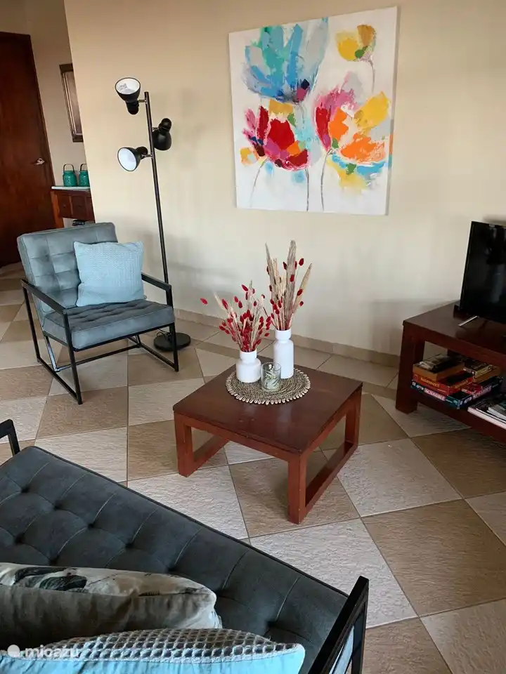 Salon décontracté avec coin TV