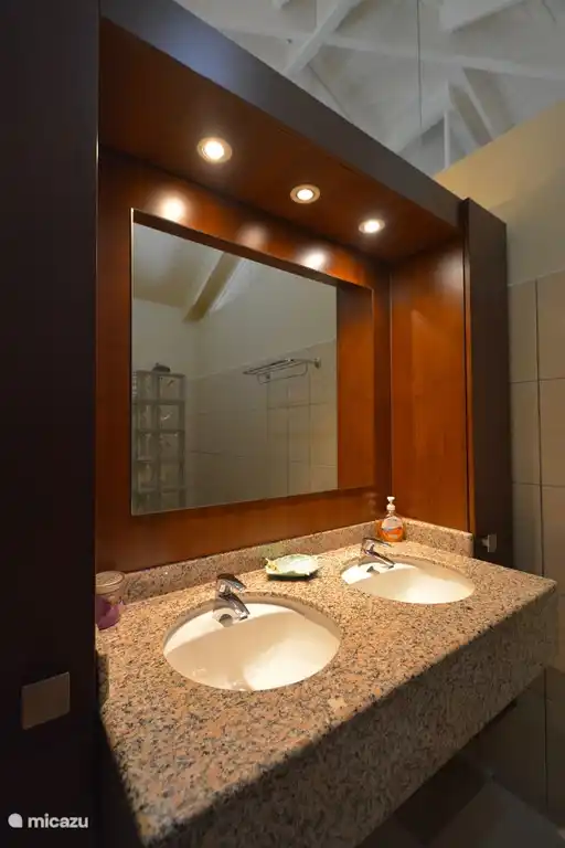 Deux grandes salles de bain avec lavabo, miroir, placards, douche à l'italienne et WC