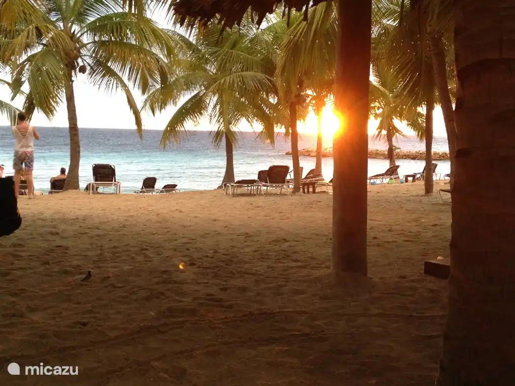 Plage fantastique avec transats