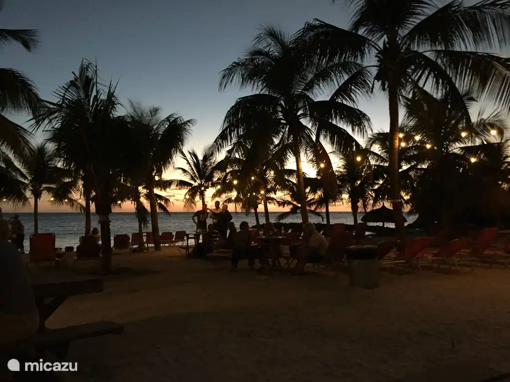 Ambiance musicale caribéenne sur la plage tous les vendredis soirs