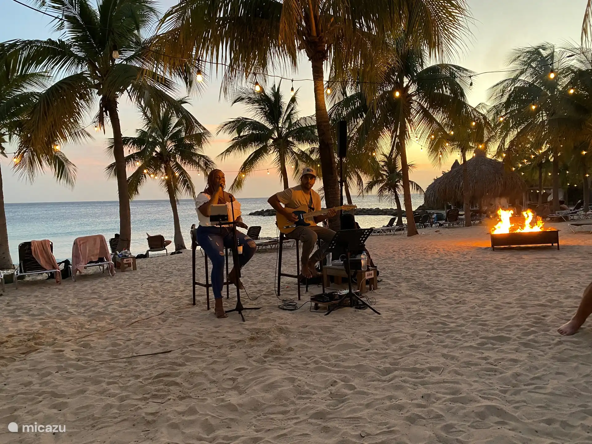 Profitez ensemble de soirées amusantes de musique caribéenne sur la plage
