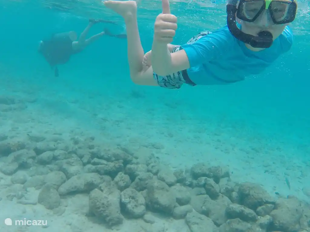 La plongée en apnée ici est très facile et vous verrez une vie marine fantastique !