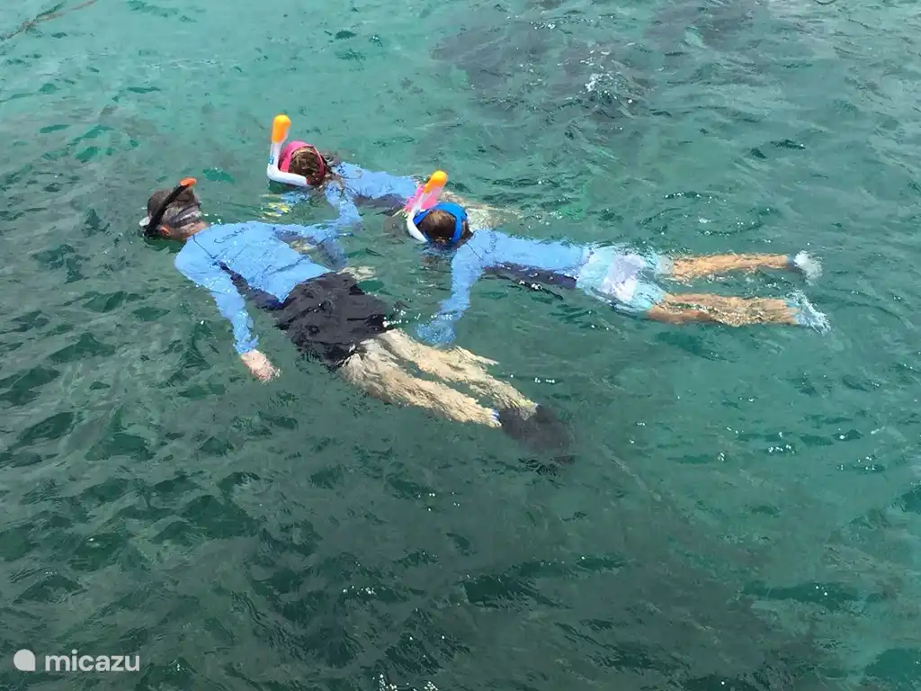 Matériel de snorkeling fourni dans la villa