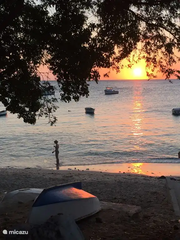Plages et terrasses idylliques à proximité