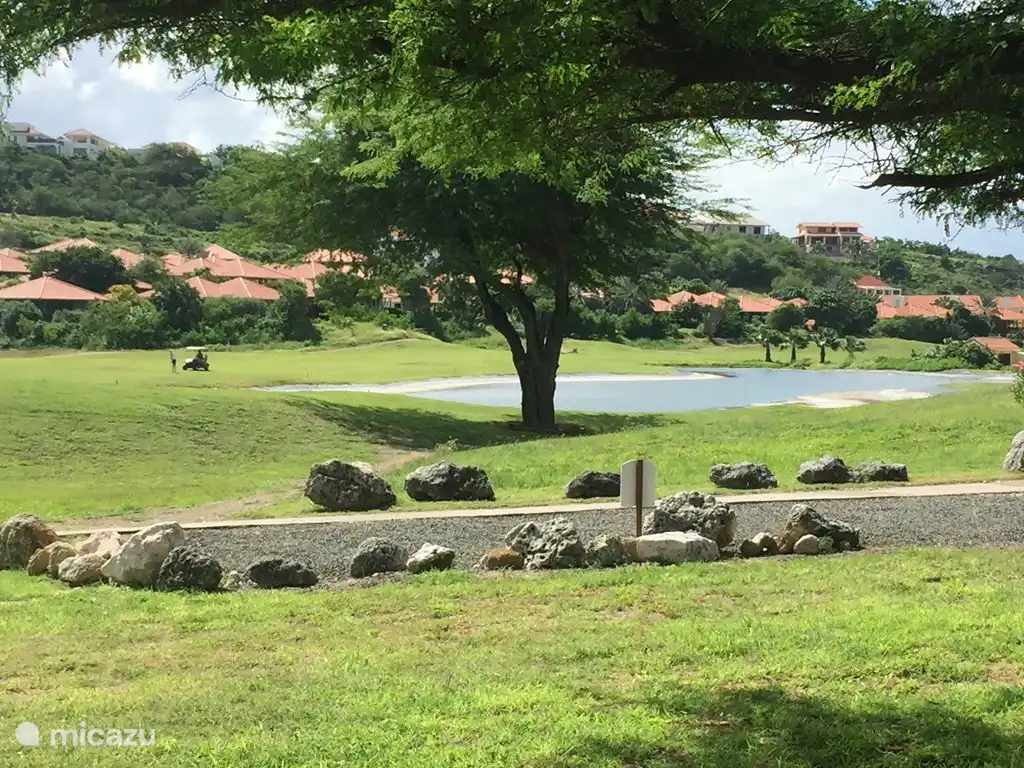 Beau terrain de golf juste à côté