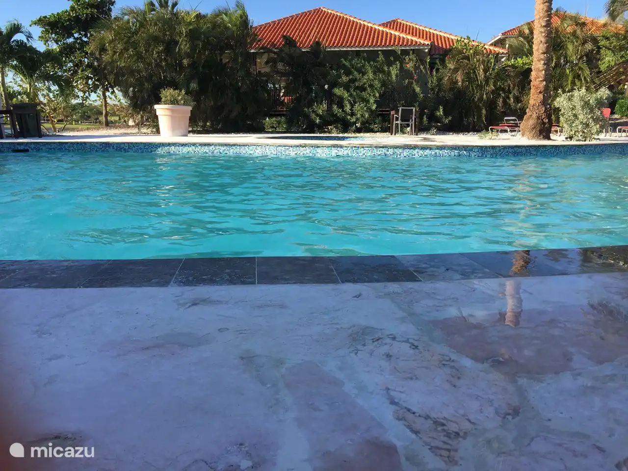 Piscine au milieu du jardin tropical