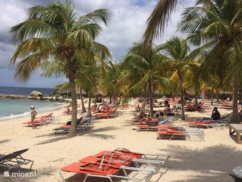 Holiday home in Curaçao, Curacao-Middle, Blue Bay Villa Blue Bay Curacao Beach Villa