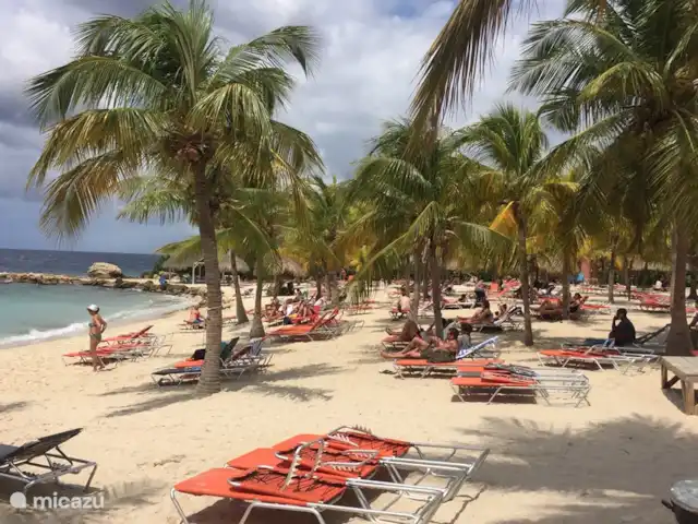 Blue Bay Curaçao Beach Villa | Curaçao, Curaçao-Centre, Blue Bay - villa Plage de Blue Bay à distance de marche