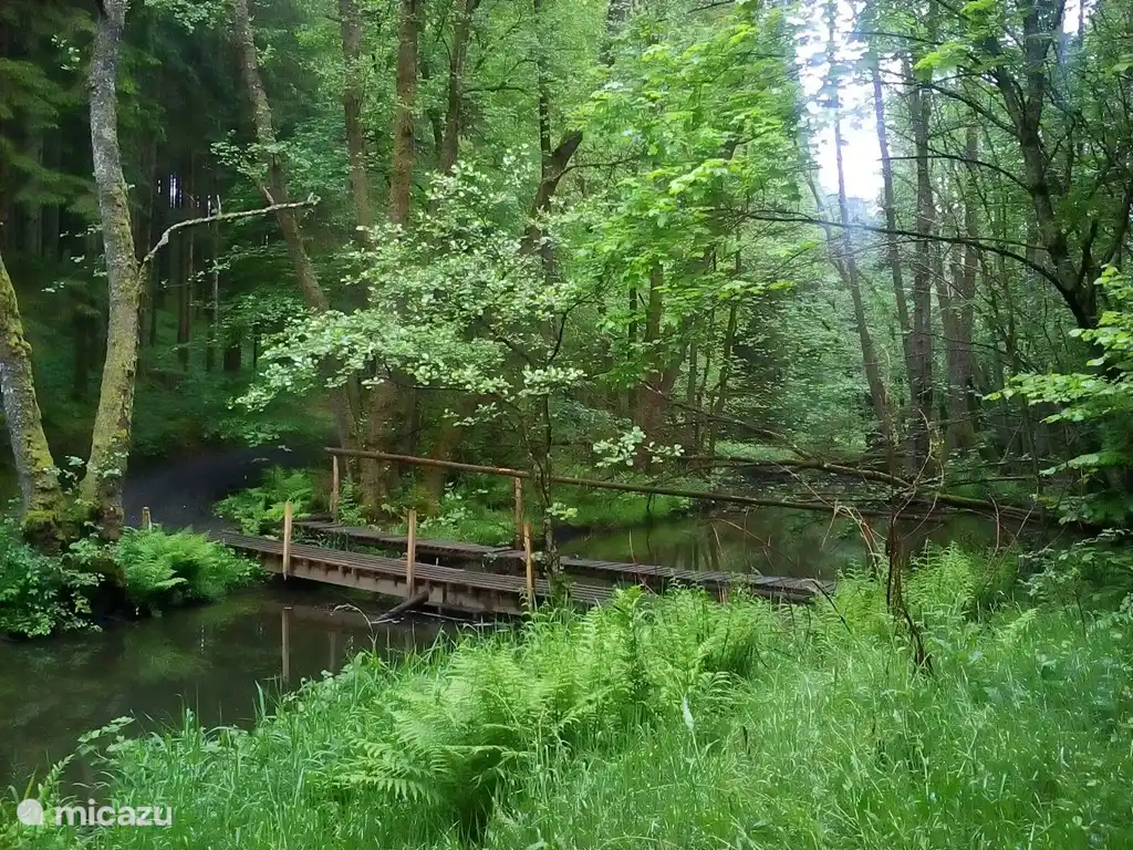 Paz, espacio y naturaleza.