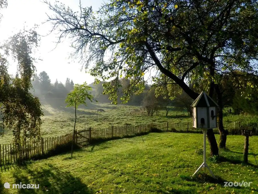 buenos dias en el jardin