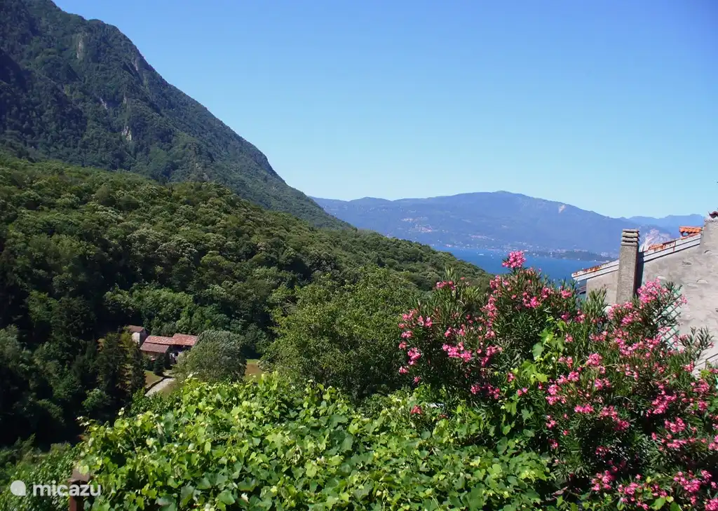 vista desde el jardin