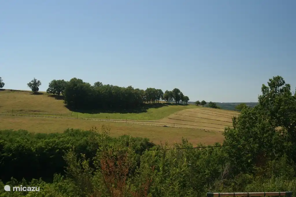 view from the living room