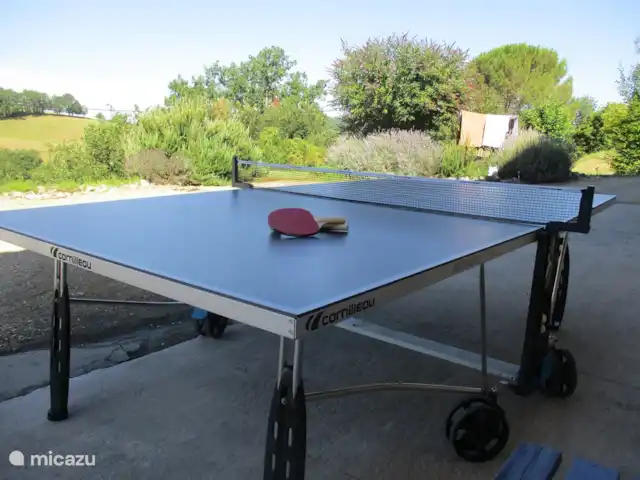 Les Cinq Papillons | France, Dordogne, Marnac - maison de vacances tennis de table