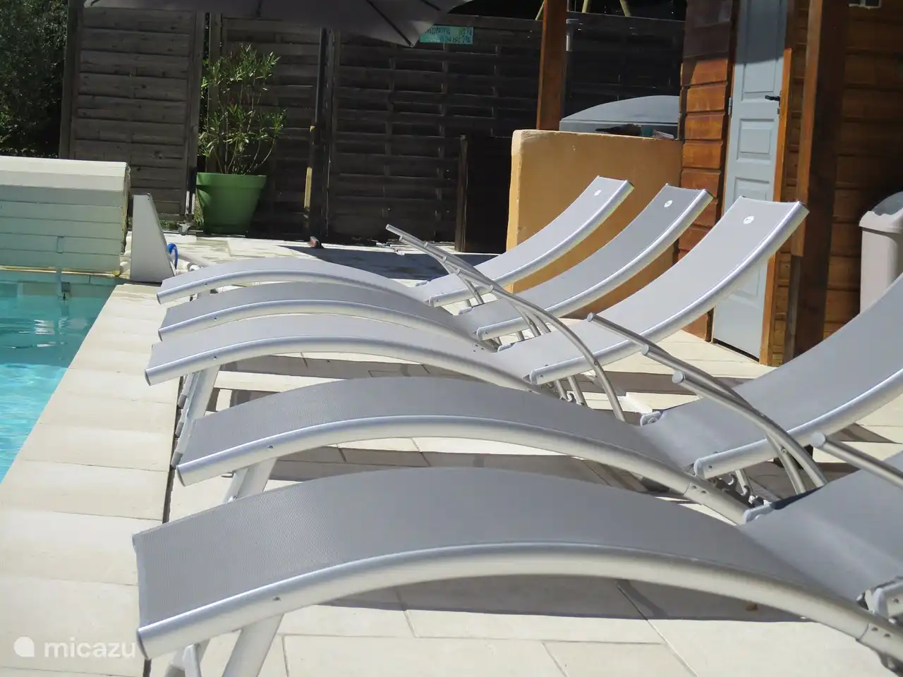 relax on the sunbeds