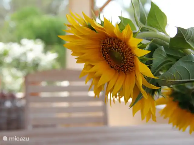 Location de Vacances France, Vaucluse, Saumane-de-Vaucluse, villa - Les Demeures du Luc Villa 308 Tournesols