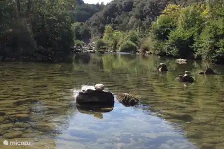 Quelque chose pour tout le monde!