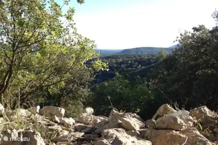 Quelque chose pour tout le monde!