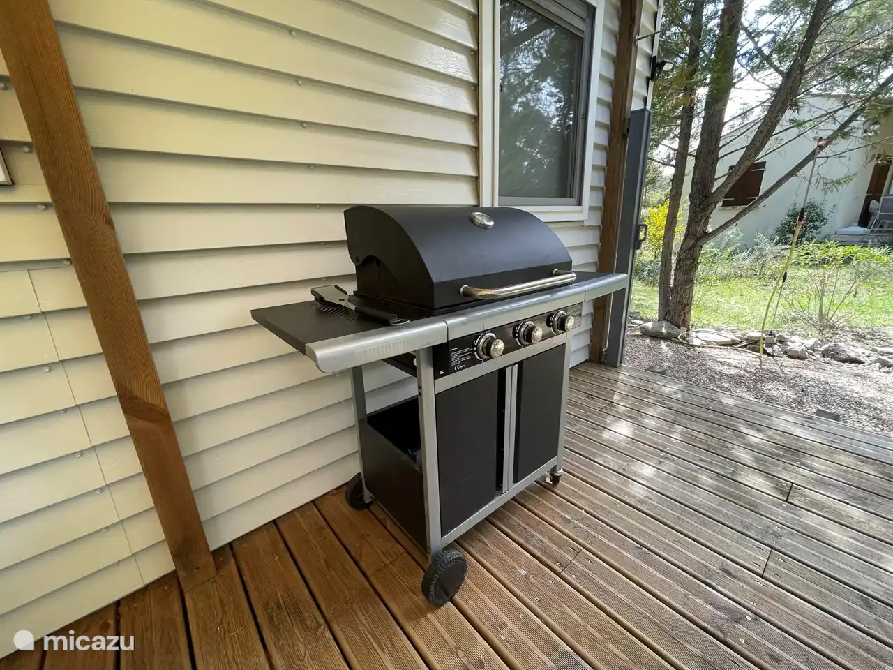 Nous avons un grand BBG à essence pour les passionnés