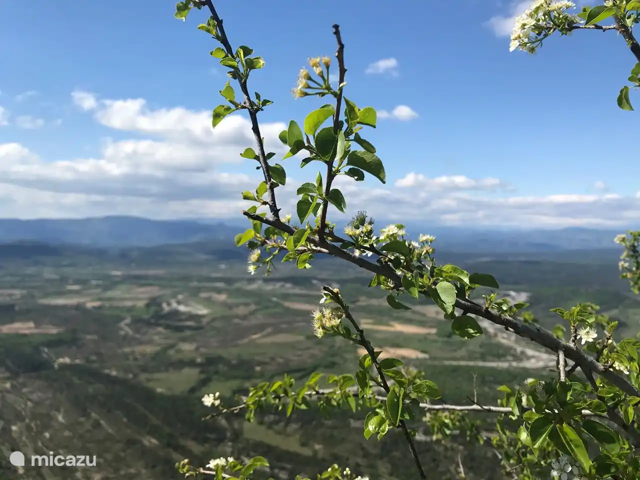 Vue depuis le point culminant du Pic Saint-Loup